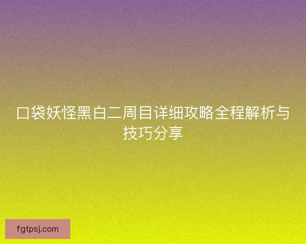 口袋妖怪黑白二周目详细攻略全程解析与技巧分享